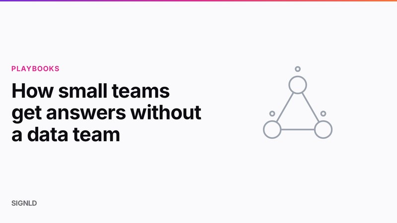 How small teams get answers without a data team